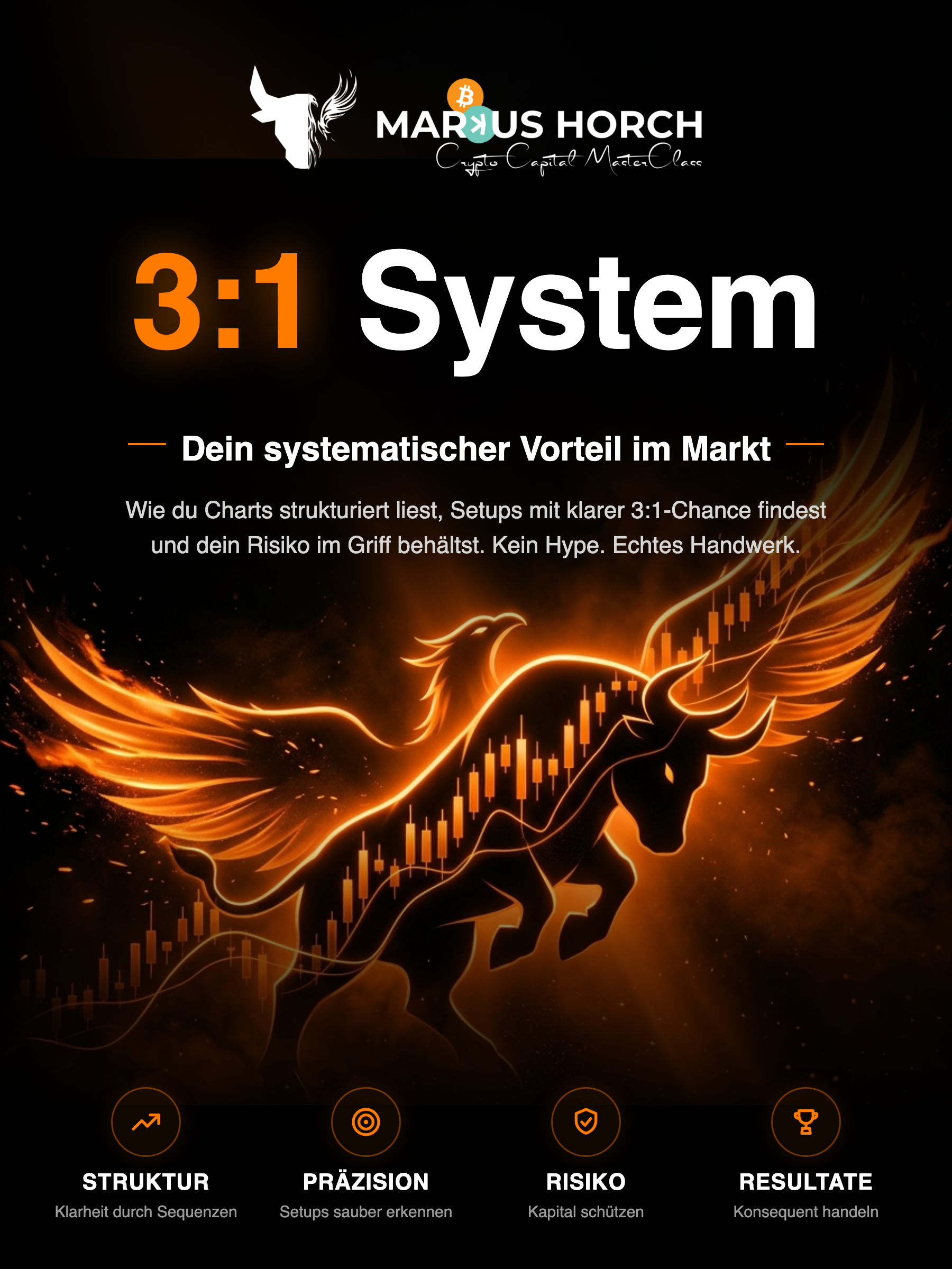 Das 3:1 System, der Guide. Dein systematischer Vorteil im Markt